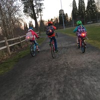 Back view of three school-age children on bicycles, with backpacks and blinky red tail lights, riding up a gravel path in a park