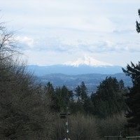 View of Mt. Hood taken from Council Crest Park. Mountain is white with snow, taken in the late winter