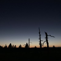Land/skyscape taken well after sunset but before night. A narrow band of light makes silhouettes of some trees and snags along the horizon