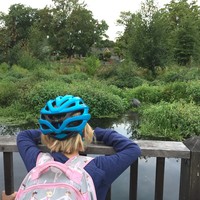 Two of my kids in bike helmets, looking over a railing at a great blue heron in a small swamp, with houses in the background