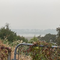 Landscape taken across a rusty chainlink gate, from a bluff above a swampy lake. It is cloudless but visibility is less than 1 mile with a heavy smoke from wildfires