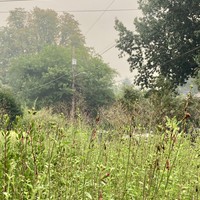 Hazy yellow sky with a dim orange sun