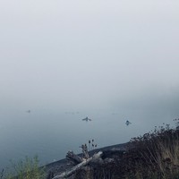 Kayakers and swimmers on the Willamette River in a heavy fog