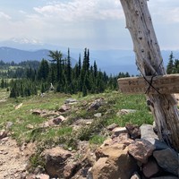 A heavily repaired trail junction sign and cairn in the foreground on a rocky alpine meadow with a stand of firs in the near distances. Mt. Adams on the horizon, its peak cloaked in haze and clouds