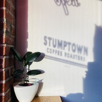 Sunrise shining through the coffee shop window casting shadows of the signage: neon “Open” sign and “Stumptown coffee roasters”