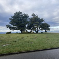 Landscape, hilltop, a small stand of trees in a cemetery. The Tualatin Valley and Chehalem Hills visible on the far horizon. Sky is cloudy but not rainy