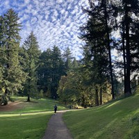 Panorama of an October sky on Mt. Tabor. Tall firs frame the top of the hill, above a bright green lawn. A spray of high altitude clouds in a deep blue sky