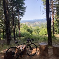 View toward the southwest from Chehalem Ridge toward Wapato Lakes. Taken through a small clearing in a dense forest; a bicycle leans against some sawn logs in the foreground