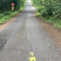 View up Brynwood road in west Portland, looking uphill. A “yellow lion” is painted on the foreground. Road sign reads “Steep narrow road. No through trucks. Cars going uphill have right-of-way”