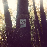 Faded sign, partially overgrown with moss, showing allowed uses of a trail (hiking, bikes, and horses are OK, motorized vehicles are not)