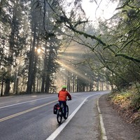 A cyclist (not me) riding up Terwilliger drive in the patchy fog, sunlight shining through the trees behind