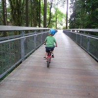 Preschool age child riding a bicycle on a bridge over a forested canyon, low perspective, taken from behind
