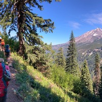 Backpackers traversing a hillside, Mt. Jefferson in the near distance